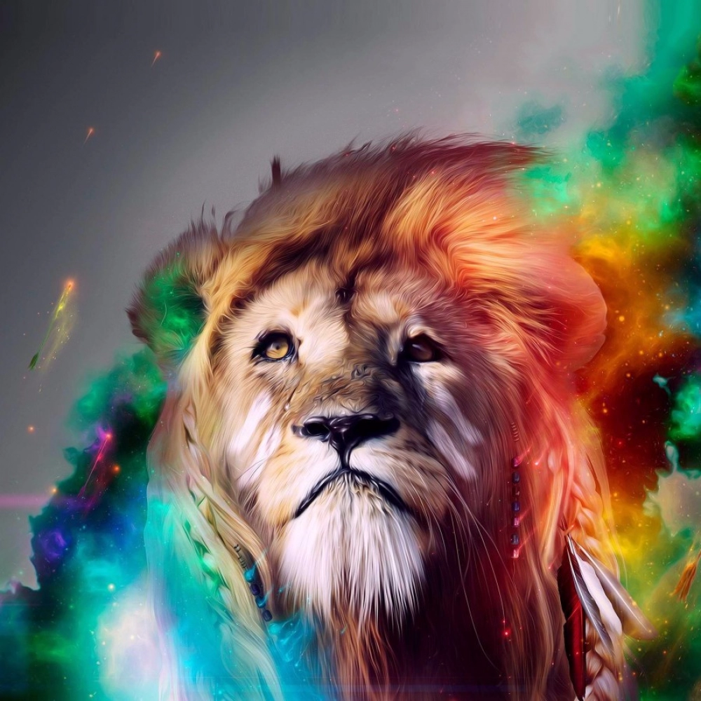31568246758_6a24cd8310_o_d-1000x1000-1.webp