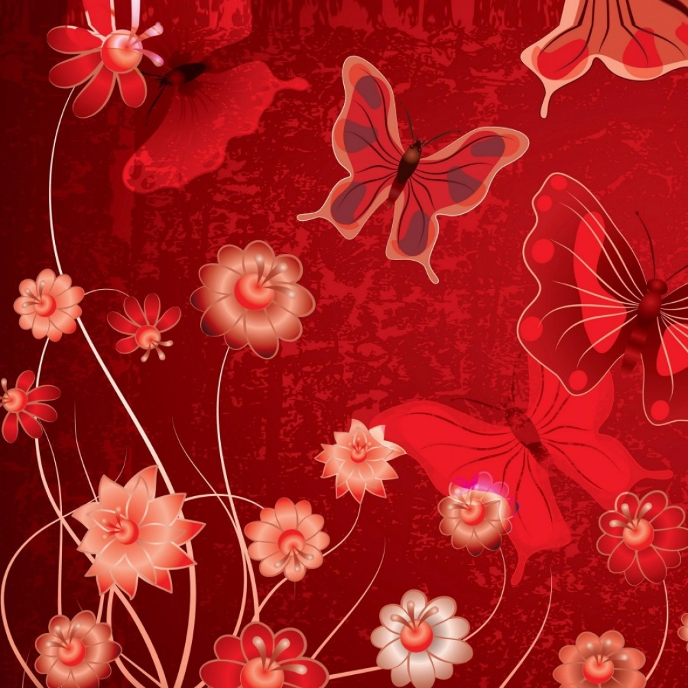 30503203337_2bfba11e89_o_d-1000x1000-1.webp