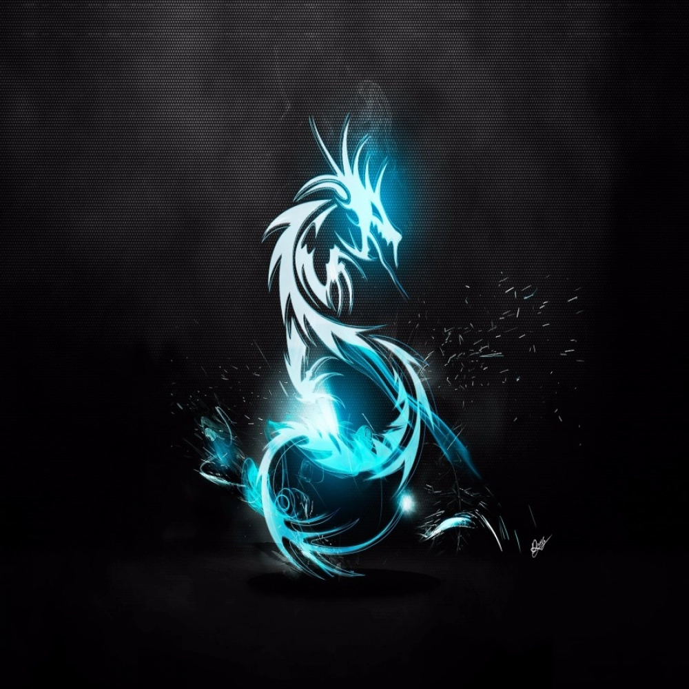 45391482312_5717d77d57_o_d-1000x1000-1.webp