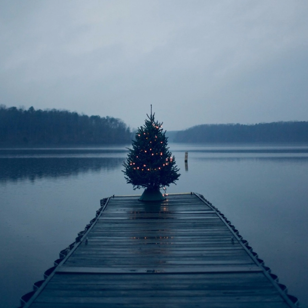 44528562325_30318b1f9e_o_d-1000x1000-1.webp