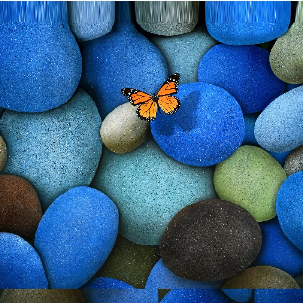 45443469441_9ccfd92a8b_o_d-1000x1000-1.webp