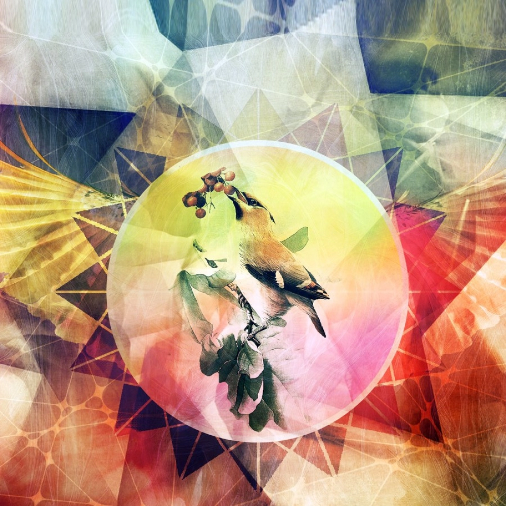 30503204577_e1f42574fe_o_d-1000x1000-1.webp
