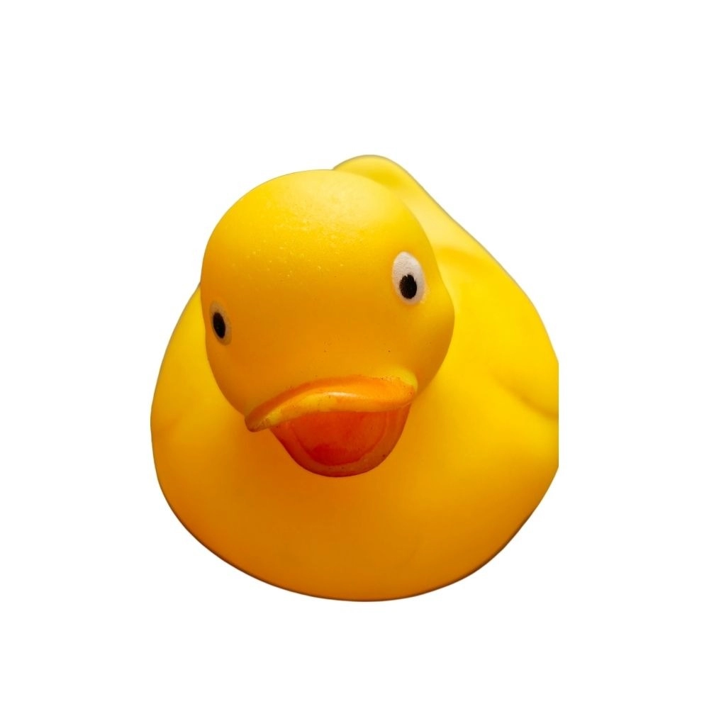 53860526235_15a1ddf1dd_o_d-1000x1000-1.webp