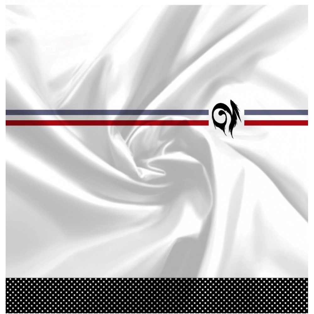 53903552685_afa1d99639_o_d-1000x1000-1.webp