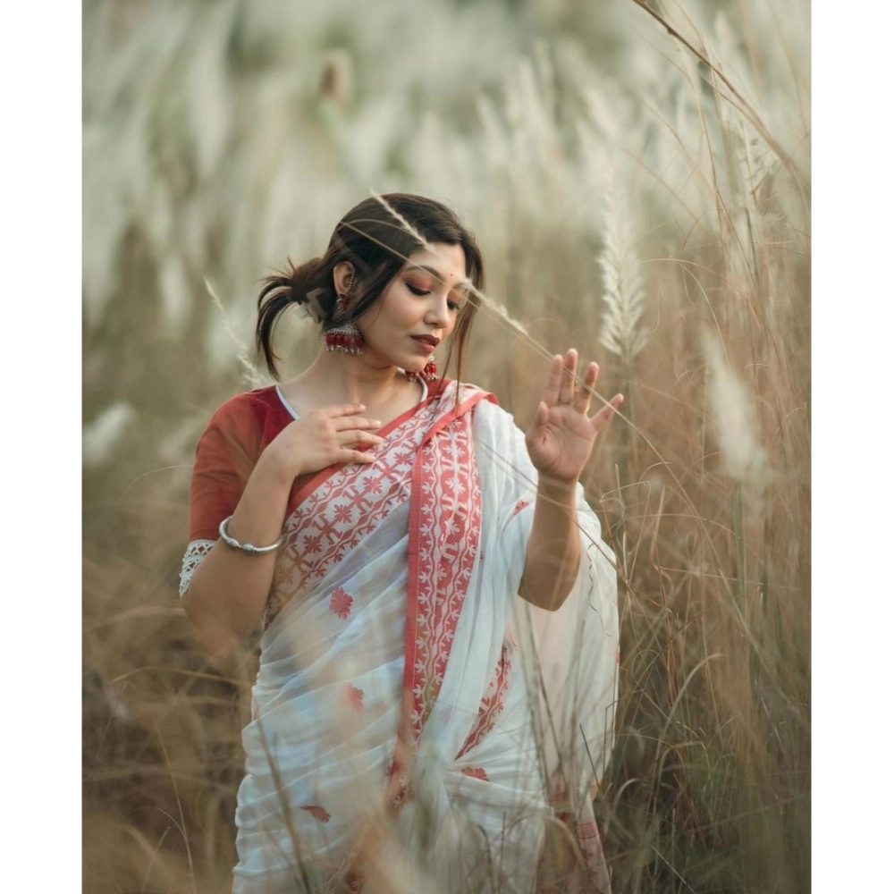54465973364_804eef58cc_o_d-1000x1000-1.webp