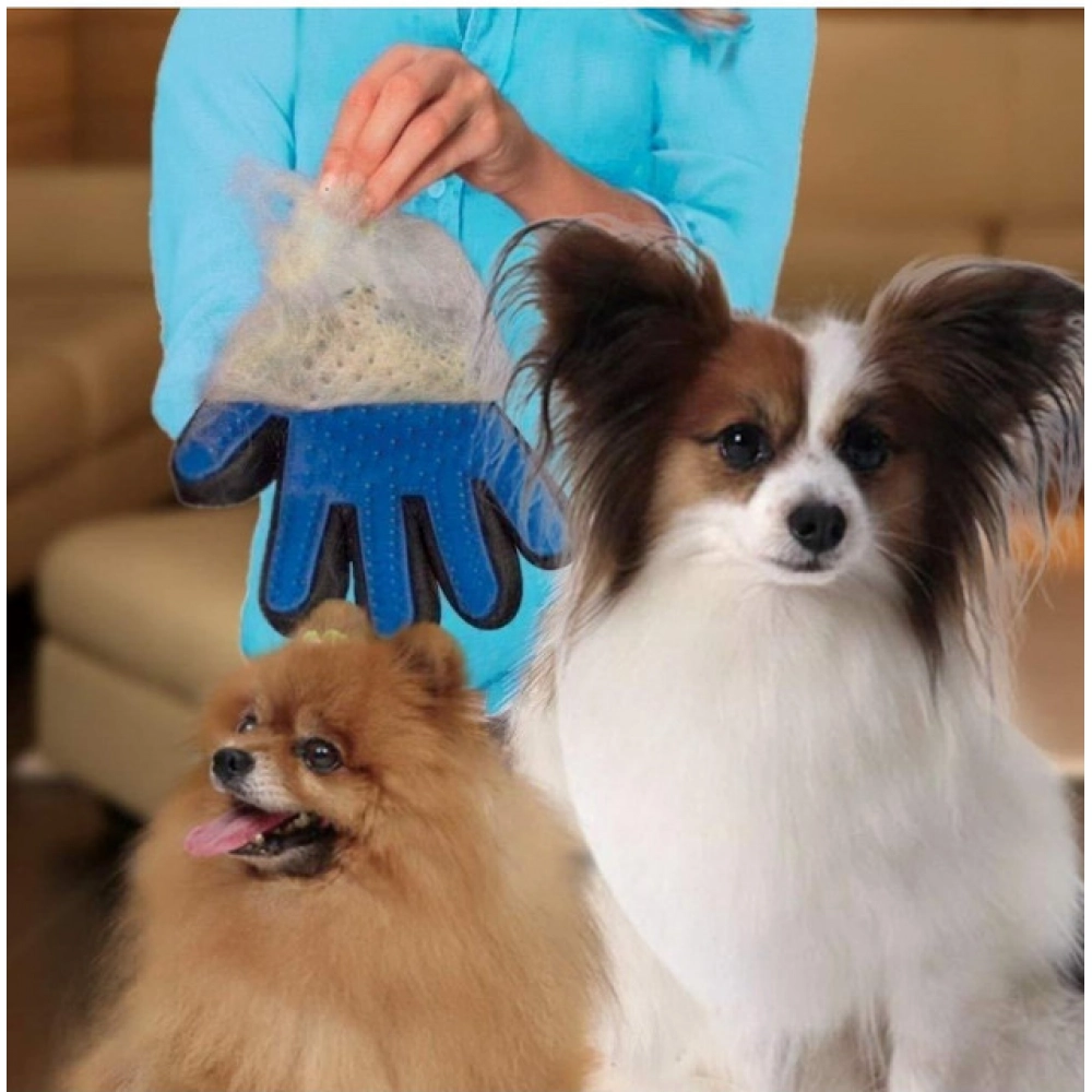 PID-63739-5-Finger-Deshedding-Glove-Pack-of-2-Pet-Hair-Remover-Grooming-Gloves-1-1000x1000-1.webp